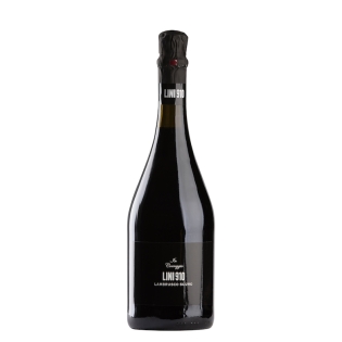 Lambrusco Scuro - Lini 910