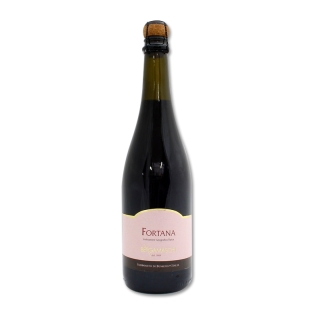 Fortana Emilia IGT Bergamaschi 0,75 lt