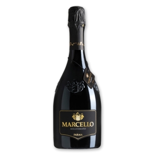 Lambrusco Marcello Gran Cru Ariola - Vendita online