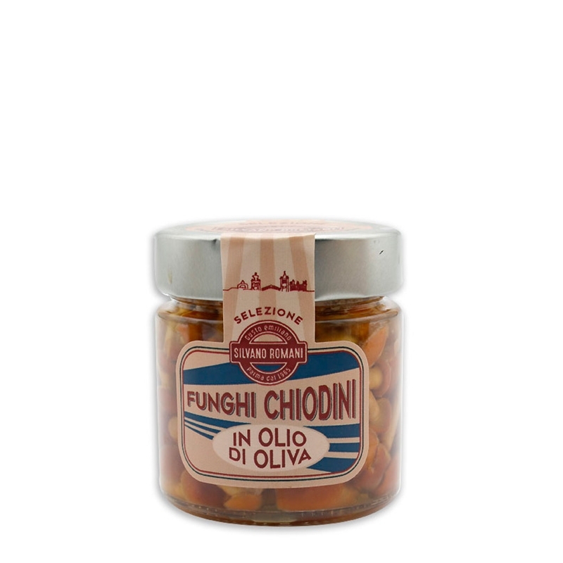 Chiodini mushrooms Chiodini mushrooms