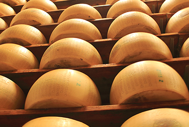 Seasoning of Parmigiano Reggiano