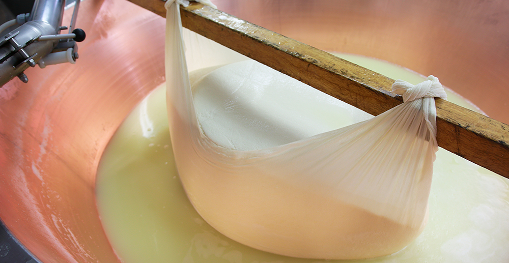 production of parmigiano reggiano