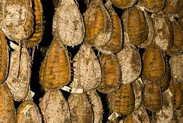 Production of Culatello di Zibello 